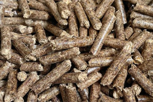 Composite biomass pellets from mixed raw materials