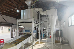 Biomass Pellet Cooling for ROHA biomass energy equipment website