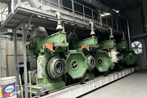 Biomass pelletizing section in production line