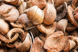 Coconut shell biomass raw material