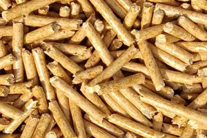 Finished biomass pellets close-up